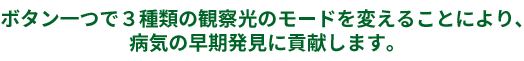 がんの早期発見をめざして。新しい内視鏡技術、NBI。